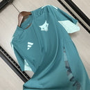 Camisa Cruzeiro Treino 25/26 Turquesa - Versão Torcedor - Lançamento